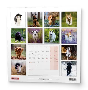 Wandkalender - Welpen